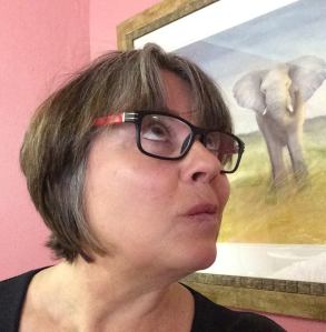 12043114_1168637616483533_3241811757745898321_n